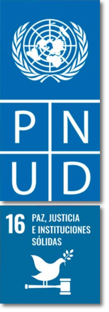 logo-pnud